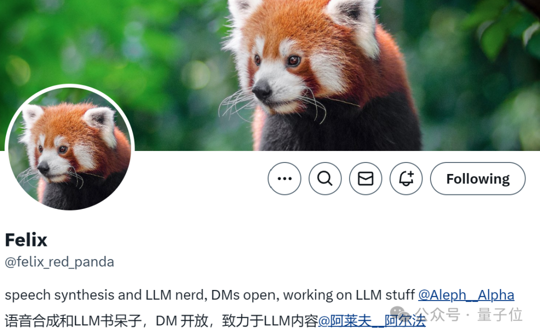 小熊猫 正副机长揸飞机✈️ #小熊猫#小熊猫迪迪#小熊猫逸逸#redpanda