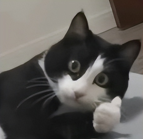 华为世界模型来了!单卡30分钟生成272㎡场景 华为世界模型来了!单卡30分钟生成272㎡场景