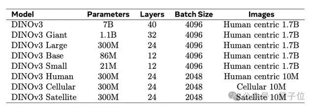 最新研究揭示视觉模型与人脑的对齐机制